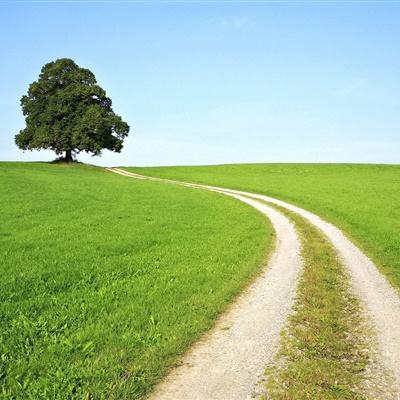 beat365手机版客户端