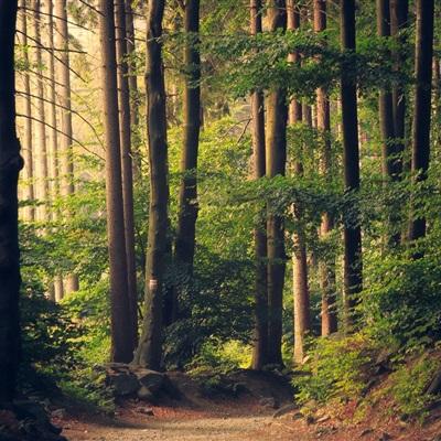 魅影快三app下载安装手机版