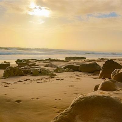 星空下载下载手机版