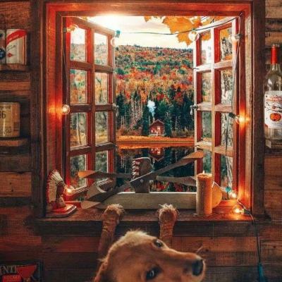 365足球外围平台