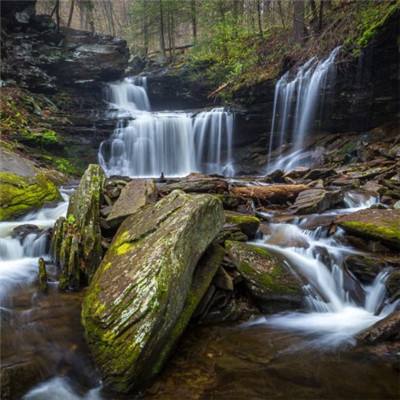 帝一娱乐app下载