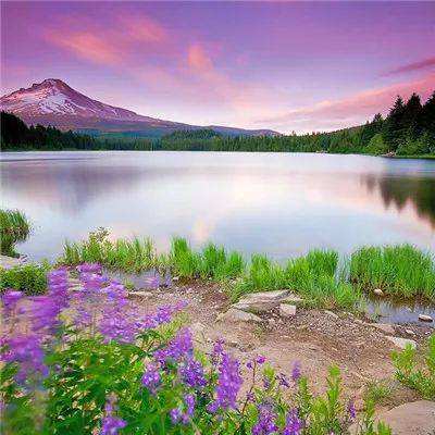 半岛登录平台网址