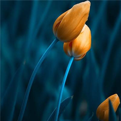 火狐体育APP下载手机版截图