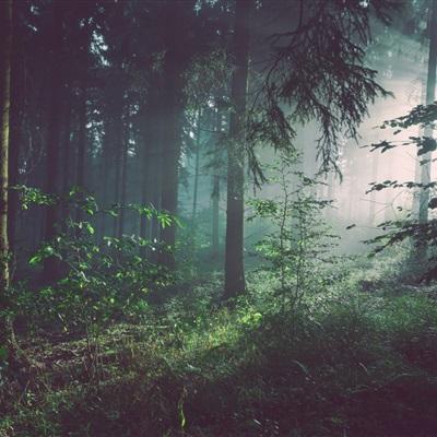 AOA体育app下载截图