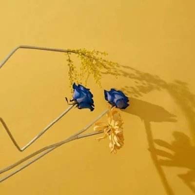 开云·体育(kaiyun)app下载